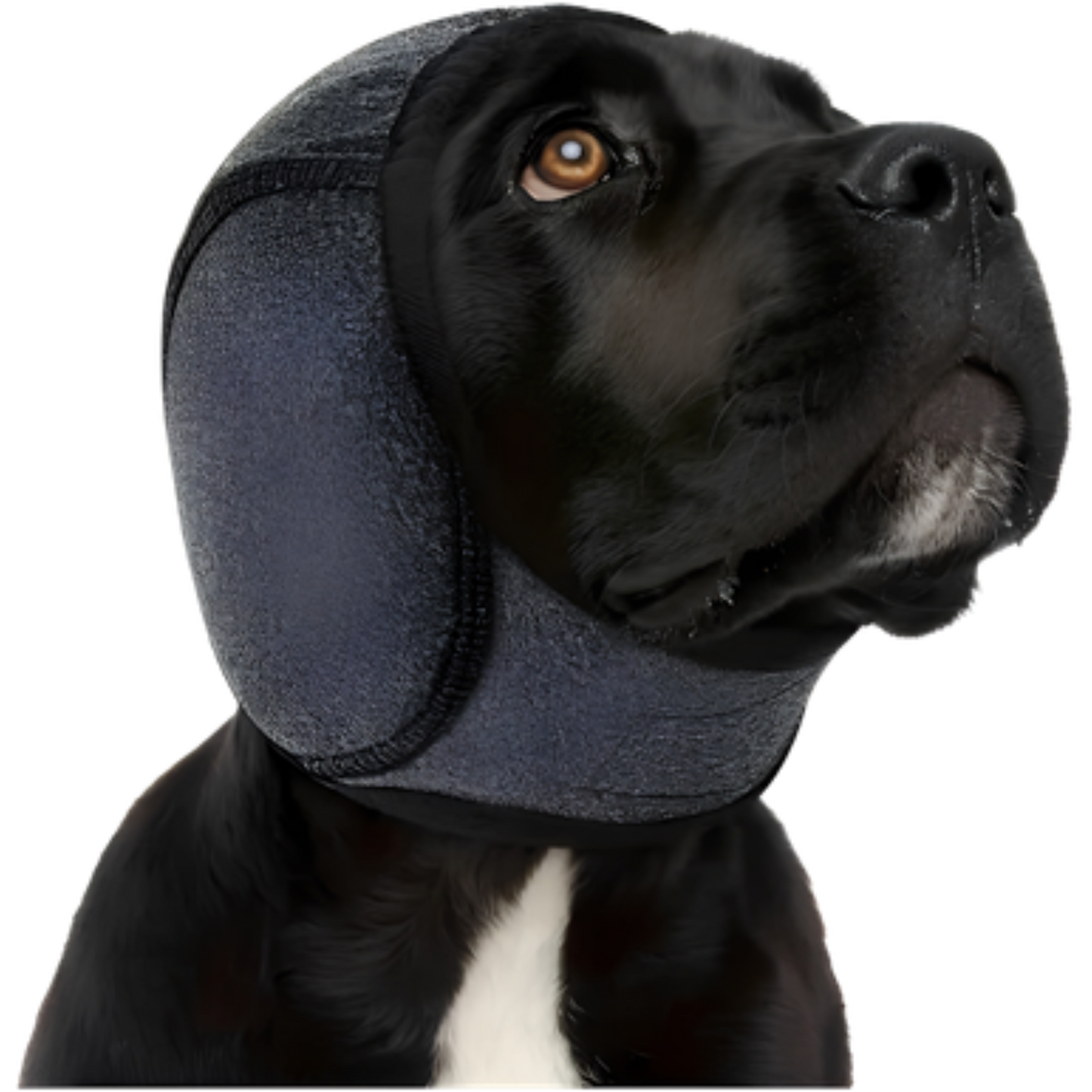 Protector Para Orejas De Perro